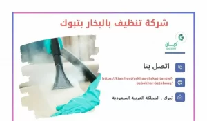شركة تنظيف بالبخار بتبوك
