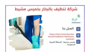 تنظيف بالبخار بخميس مشيط